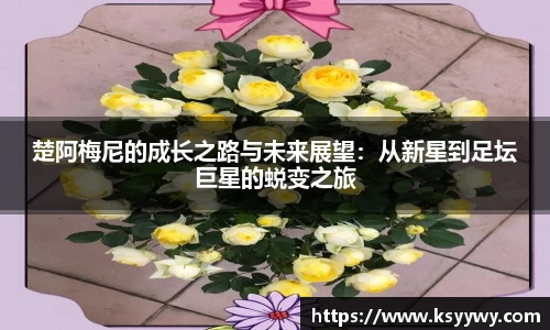 金年会